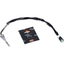 Sensor, Abgastemperatur 707020