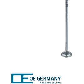 6x Einlassventil Einlassseite für SEAT VW SKODA AUDI PORSCHE A3 für VW CAYA / 6x Einlassventil Einlassseite für SEAT VW SKODA AUDI PORSCHE A3 für VW CAYA /