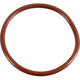 Dichtring 2430060