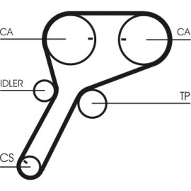 Zahnriemen CT1151