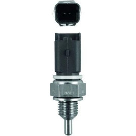 Sensor, Kühlmitteltemperatur TSE 13