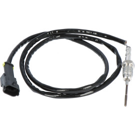 Sensor, Abgastemperatur 9 8160 1