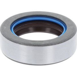 Dichtring 12015717B