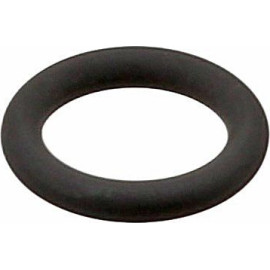 Dichtring 509.750