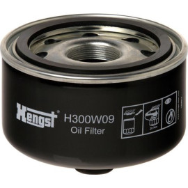 Ölfilter H300W09