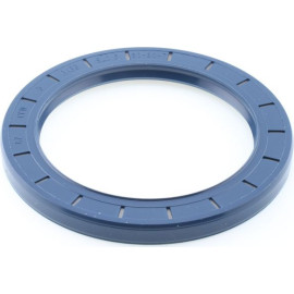 Dichtring 12001709B