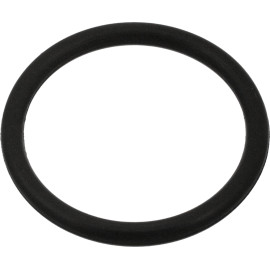 FEBI BILSTEIN 100999 Dichtring