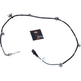Sensor, Abgastemperatur 707062