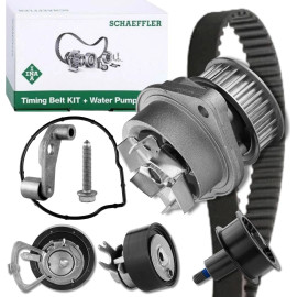 INA 530 0089 31 Wasserpumpe + Zahnriemensatz