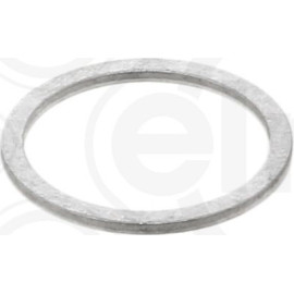 Dichtring 250.007