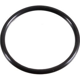 Dichtring 2430048