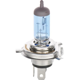 Glühlampe 1 987 301 010 Glühlampe 1 987 301 010