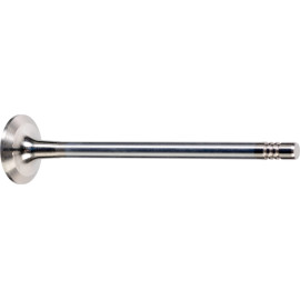 FEBI BILSTEIN 176537 Auslassventil FEBI BILSTEIN 176537 Auslassventil