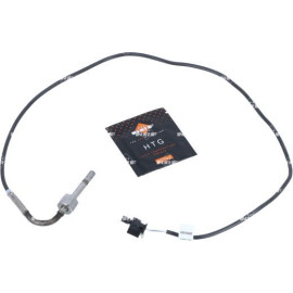 Sensor, Abgastemperatur 707096
