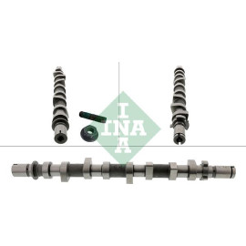 Nockenwelle 428 0252 10 Nockenwelle 428 0252 10