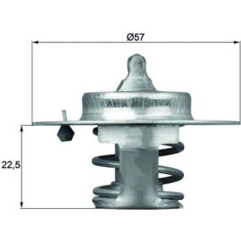 Thermostat, Kühlmittel TX 60 83D