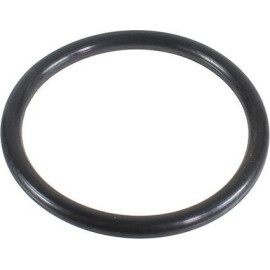 Dichtring 2430113