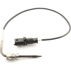 Sensor, Abgastemperatur 9 8076 1
