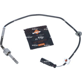 Sensor, Abgastemperatur 707197