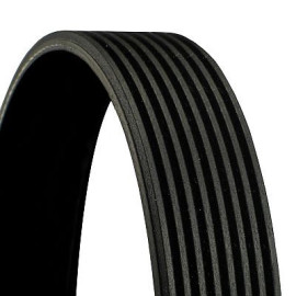 Keilrippenriemen 8PK1815 Keilrippenriemen 8PK1815