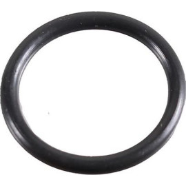 Dichtring 2430039