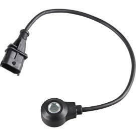 Klopfsensor 0907038 Klopfsensor 0907038