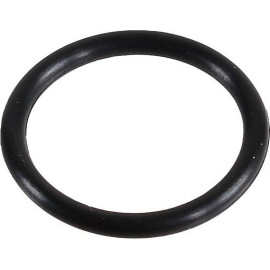 Dichtring 2430001
