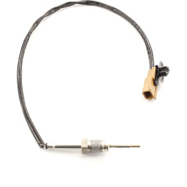 Sensor, Abgastemperatur 9 8150 1