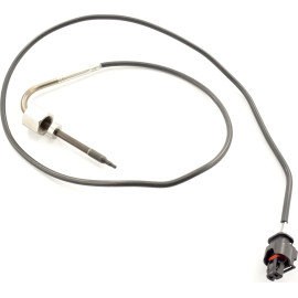 Sensor, Abgastemperatur 9 8038 1