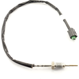 Sensor, Abgastemperatur 9 8109 1