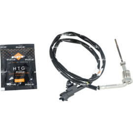 Sensor, Abgastemperatur 707502