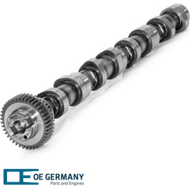 Nockenwelle Einlassseite für VW AUDI SEAT SKODA PASSAT TOURAN B7 für VW