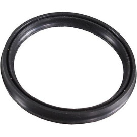 Dichtring 2430064