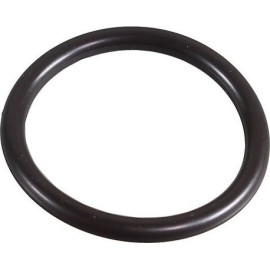 Dichtring 2430109