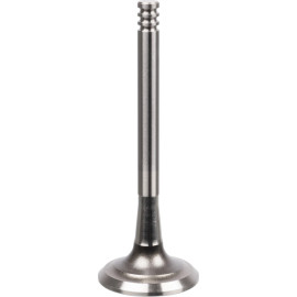 FEBI BILSTEIN 21042 Auslassventil FEBI BILSTEIN 21042 Auslassventil