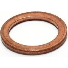 Dichtring 119.601