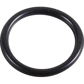 Dichtring 2430070