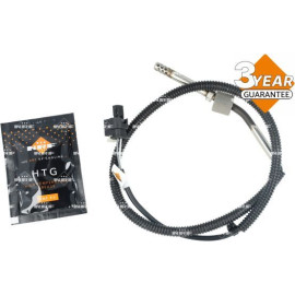 Sensor, Abgastemperatur 707496