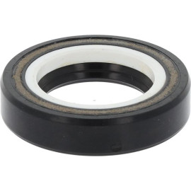 Dichtring 01016893B Dichtring 01016893B