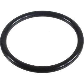 Dichtring, Lader 2430128 Dichtring, Lader 2430128