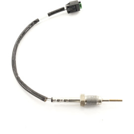 Sensor, Abgastemperatur 9 8106 1