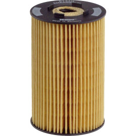 Ölfilter E134H D06 Ölfilter E134H D06