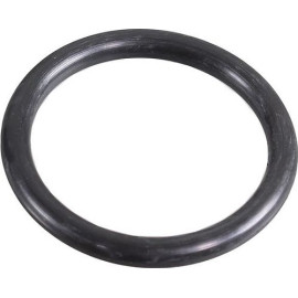 Dichtring 2430065