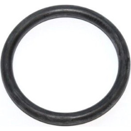 Dichtring 599.531