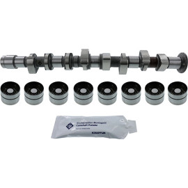 Nockenwellensatz 428 0051 30 Nockenwellensatz 428 0051 30