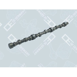 Nockenwelle für Scania D 11 DS 11 DSC 11 325 646 OEGERMANY 050500110000
