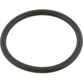 FEBI BILSTEIN 18184 Wellendichtring, Bremsnockenwelle