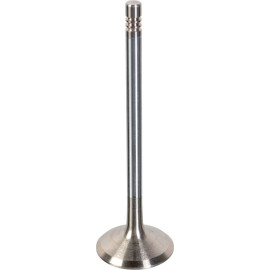 FEBI BILSTEIN 180481 Einlassventil FEBI BILSTEIN 180481 Einlassventil