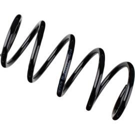 Fahrwerksfeder 36-210213