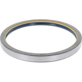 Dichtring 12001924B